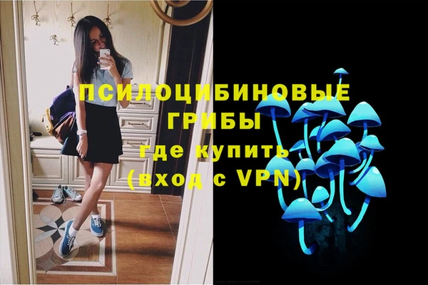 спиды Кодинск