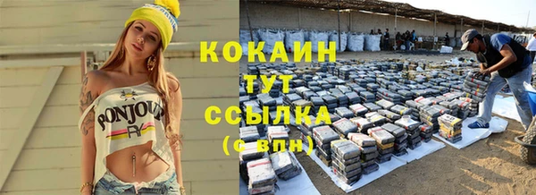 стафф Козловка