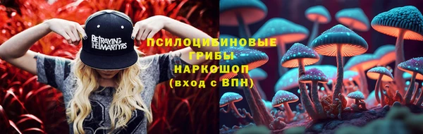 стафф Козловка