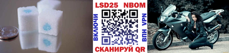 купить наркоту  Кохма  LSD-25 экстази ecstasy 